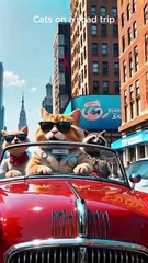 Stylish Cats and Friends Take Over the City on an Epic Road Trip! 🚗🐾