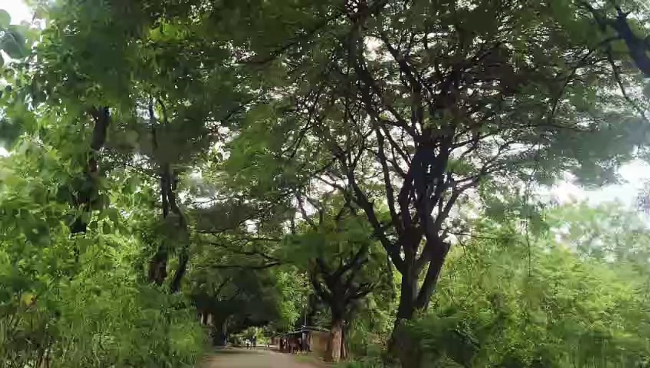 VID20250720125953