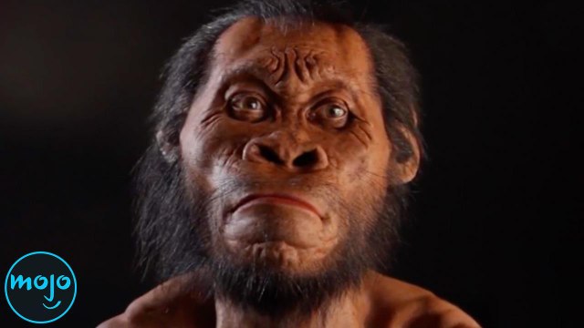 Top 10 Greatest Archaeological Discoveries That Changed History Forever