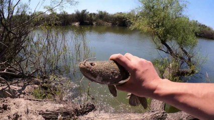 🎣 PESCA CON MOJARRERO Y COCINA DE TARARIRA FRITA EN EL ARROYO 🐟🔥 - VIDEO DE PESCA