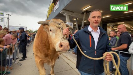 Foire de Libramont, magnifique spectacle que le défilé des champions des différentes races