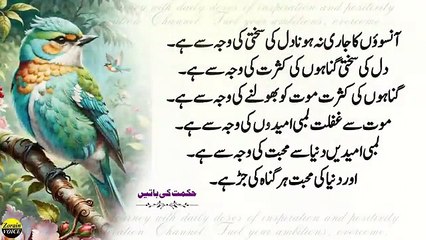 4 rishton ko kabi mat todna bhool kr bhi _ Old man saying _ Urdu Islamic Quotes _ Hazrat Ali Quotes