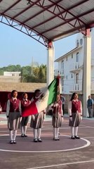 Unfurled Flag Covers Girl's Face During Civic Ceremony