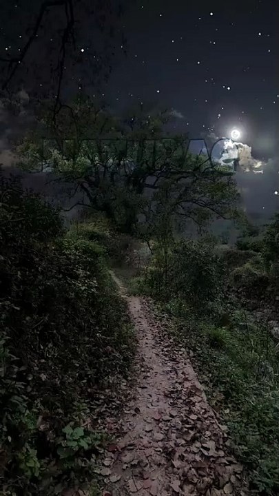 Beautiful night whole sky covered with stars