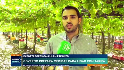 Governo prepara medidas para lidar com tarifaço dos EUA