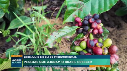 Dia do Produtor Rural: pessoas que ajudam o Brasil crescer