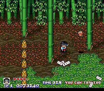 Pocky & Rocky online multiplayer - snes