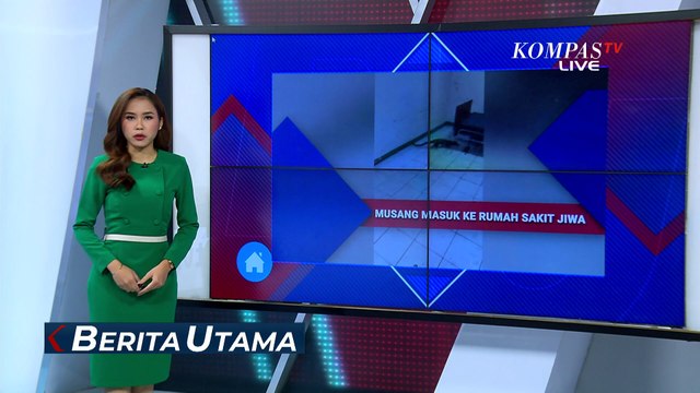 Evakuasi Dramatis! 2 Musang Liar Masuk RSJ di Jakarta Timur, Petugas Damkar Dibuat Kewalahan