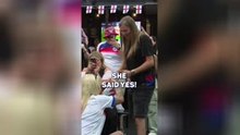 Lionesses' fan proposes after Euros win