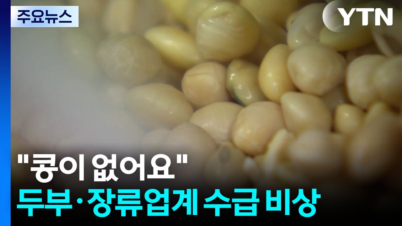 "콩이 없어요"...두부·장류업계 원료 수급 비상 / YTN