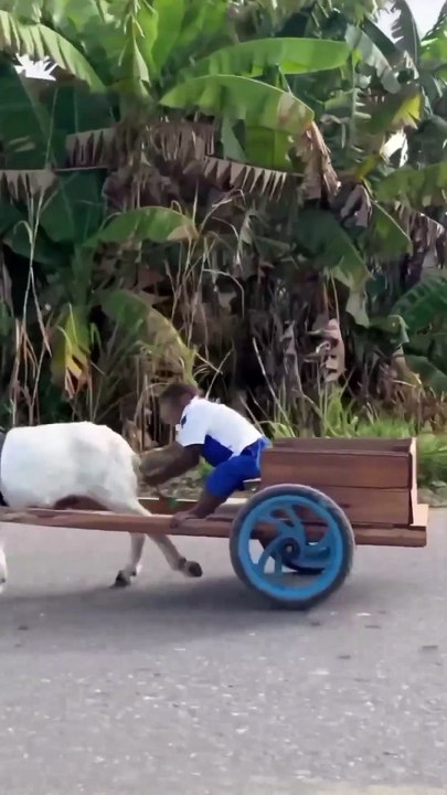 Funny for ever 😜😜