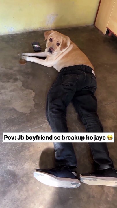 Try not to laugh 🤣🤣🤣😂😂