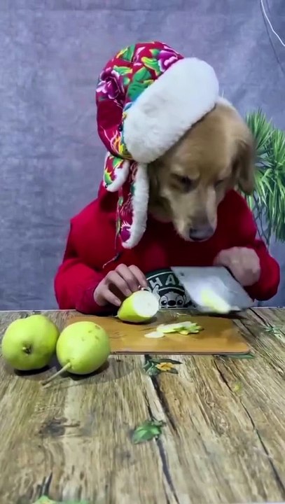 Great talent 👍👍