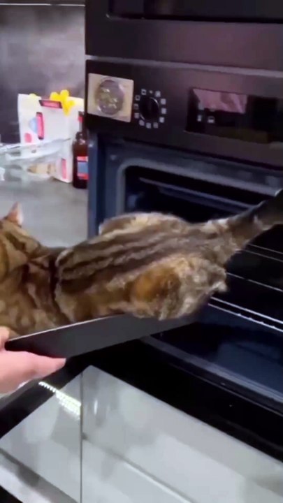 Funny video 😂😂