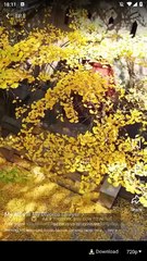 My Wife is My Divorce Lawyer | Full Movie HD - Best Drama ShortFilms Hot