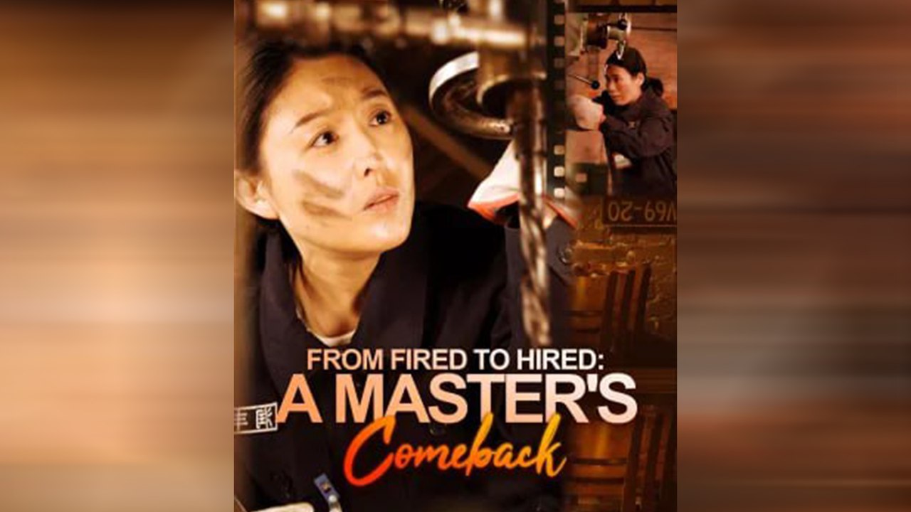 From Fired To Hired A Master's Comeback video Dailymotion
