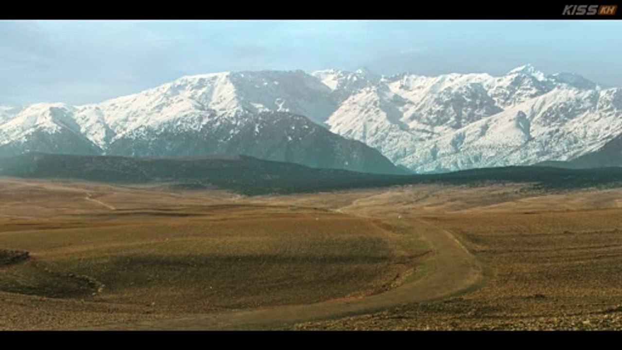 The Trauma Code Heroes on Call    (2025)