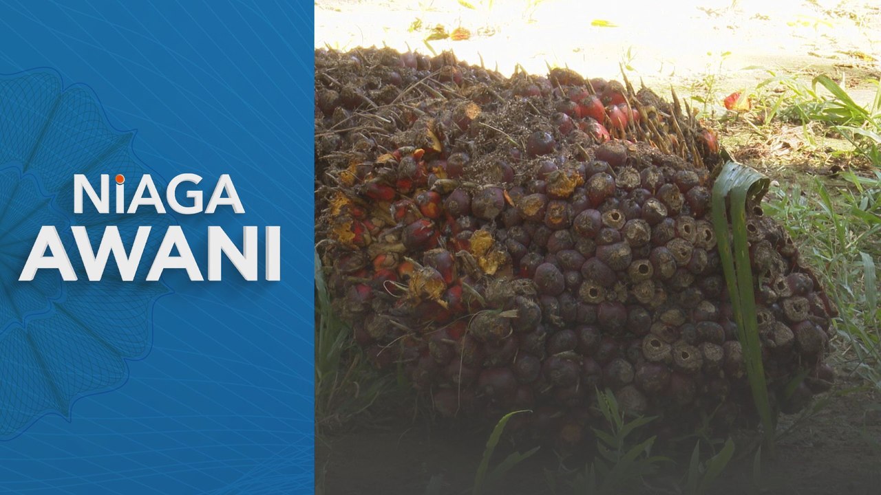 Niaga Hadapan MSM dijangka diniaga cenderung menurun minggu ini