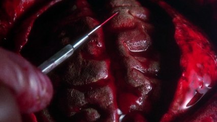 Hellbound Hellraiser II (1988) | Horror movie