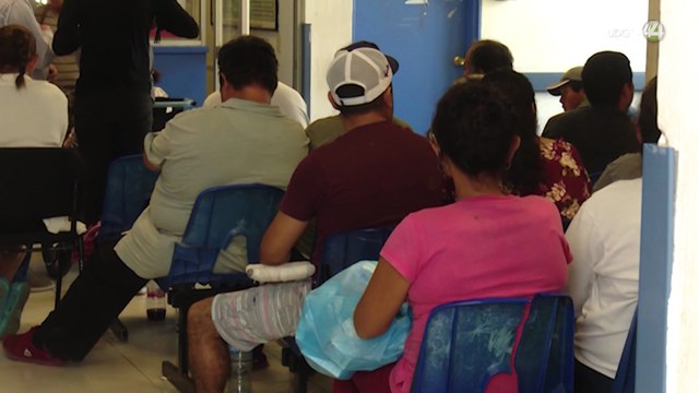 Cada 30 segundos en el mundo muere una persona por algún tipo de hepatitis