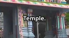 Tragedy at Mansa Devi Temple: Stampede Claims Lives