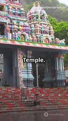 Tragedy at Mansa Devi Temple: Stampede Claims Lives