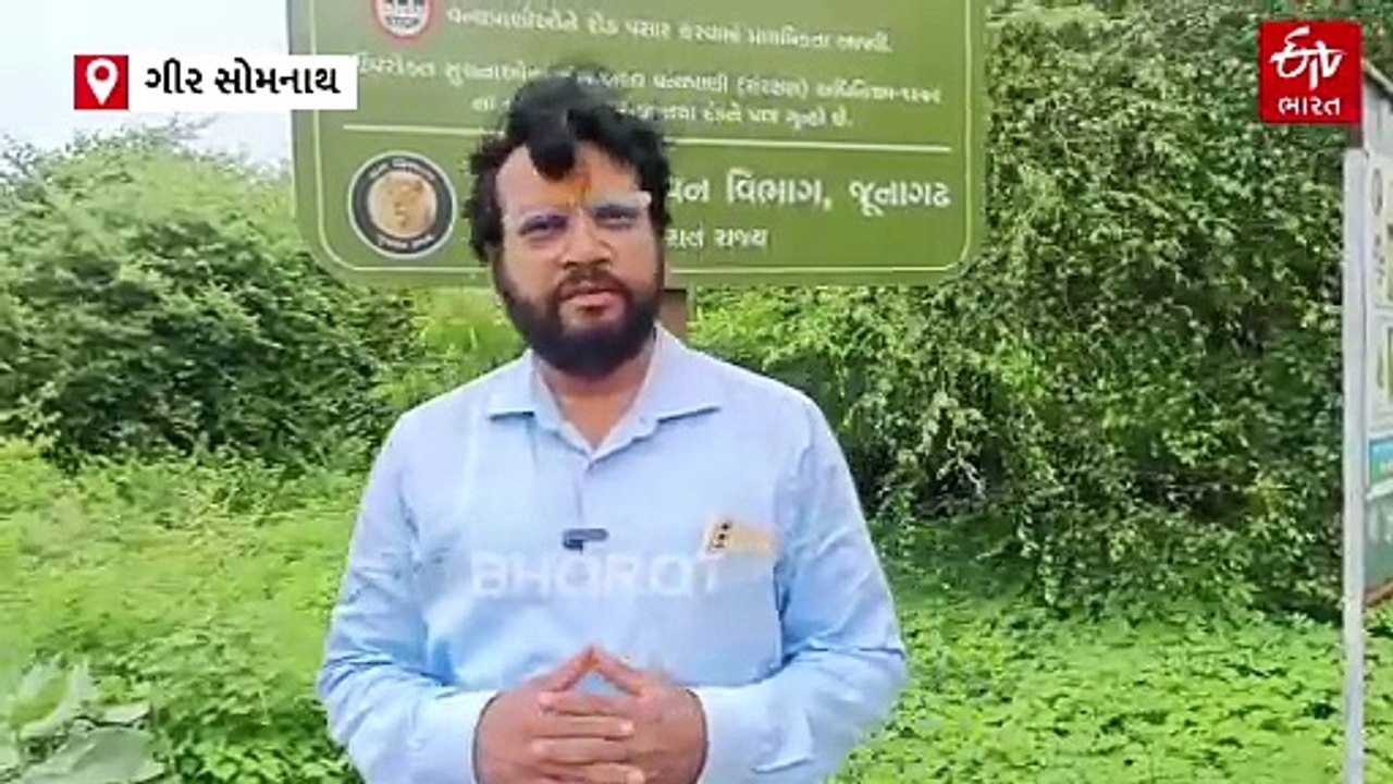 વર્ષમાં માત્ર બે વાર દર્શન આપતા "પાતાળેશ્વર મહાદેવ", પાંડવો અને સિંહ સાથે ખાસ સંબંધ