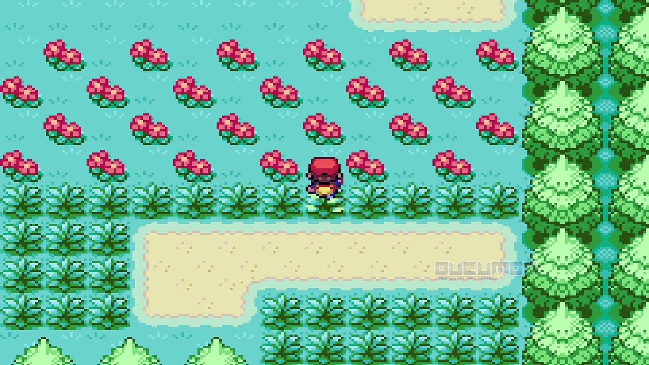 Pokemon SmokyRed - GBA ROM Hack, similar to Pokemon Fire Red but Harder, map is tweaked, May, Bren