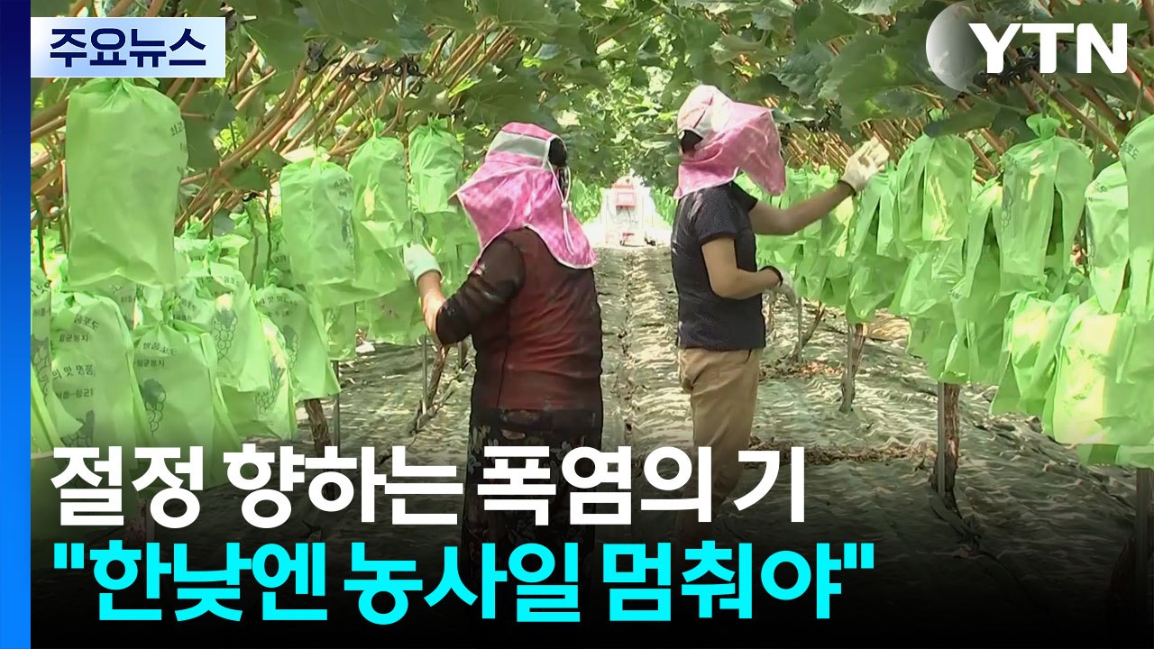 폭염에 온열 질환 급증..."한낮엔 농사일 멈춰야" / YTN