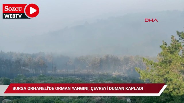Bursa Orhaneli'de orman yangını; çevreyi duman kapladı