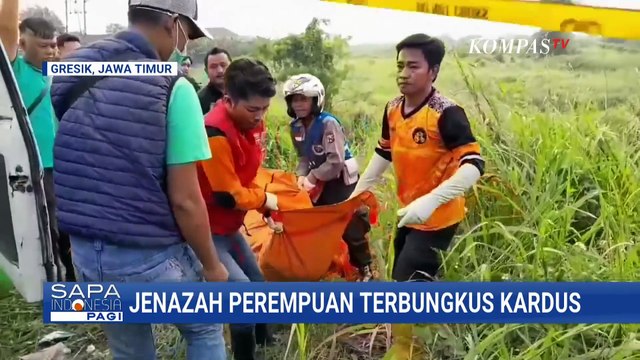 Geger! Warga Temukan Jenazah Perempuan dalam Kardus di Gresik, Terbungkus Plastik dan Dilakban