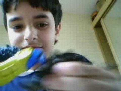 mugulator nébuleux vs dinosaure a 1000 cornes