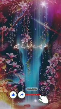 قرآن پاک کا ایک حرف پڑھنے پر دس نیکیاں لکھی جاتی ہیں ۔ قرآن مجید کو ترجمہ اور تفسیر کے ساتھ پڑھنے کی کوشش کیا کریں کیونکہ یہ قرآن دین اسلام کی بنیاد ہے ، بنیاد کی مضبوطی پورے دین اسلام کی سربلندی ہے ، قرآن مجید کی تلاوت سے اجر و ثواب کے ساتھ ساتھ دینی شع