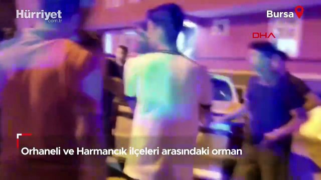 Bursa'nın Orhaneli ve Harmancık ilçeleri arasındaki orman yangınına ilişkin 1 şüpheli gözaltında