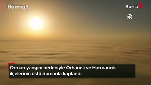 Bursa'da orman yangınları nedeniyle gökyüzünü duman kapladı