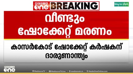 കാസർകോട് പൊട്ടിവീണ വൈദ്യുതിക്കമ്പിയിൽ നിന്ന് ഷോക്കേറ്റ് ക്ഷീരകർഷകന് ദാരുണാന്ത്യം; പശുവും ചത്തു