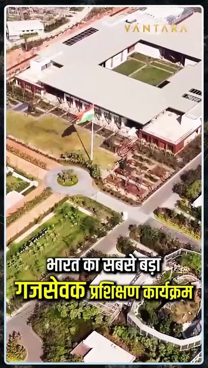गजराजों की सेवा में समर्पित - वनतारा का संकल्प 🙏🐘 देशभर के महावत और विशेषज्ञ जुटे एक मंच पर...  वनतारा बन रहा है हाथियों के लिए आशा की नई किरण! #गजसेवा #AnantAmbani #Vantara #Jamnnagar #ElephantCare #animalslove #elephant #gujarat #humanity
