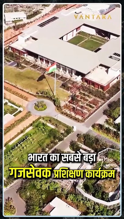 सेवा, समर्पण और संरक्षण- वनतारा में गूंजेगी गजराजों के हित की पुकार 🙌🐘 अनंत अंबानी की पहल से हाथियों को मिल रही बेहतर देखभाल और चिकित्सा! #गजसेवा #AnantAmbani #Vantara #Jamnnagar #ElephantCare #animalslove #elephant #gujarat #humanity