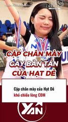 Cặp CHÂN MÀY của HẠT DẺ khó chiều cộng đồng mang