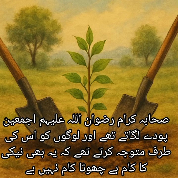صحابہ کرام رضوان اللہ علیہم اجمعین پودے لگاتے تھے اور لوگوں کو اس کی طرف متوجہ کرتے تھے کہ یہ بھی نیکی کا کام ہے چھوٹا کام نہیں ہے