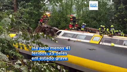Descarrilamento de comboio na Alemanha: deslizamento de terras é a causa provável