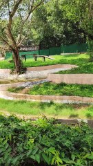 A symbol of wild strength and serene beauty. #ViralNature #ExploreWithMe