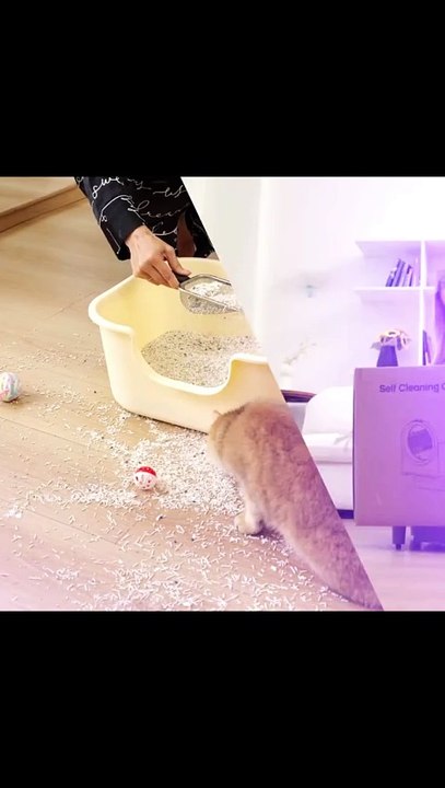 Automatic Hooded Cat Litter Box Extra Large Self-Cleaning Litter Box with Odor Sealing Pet Supplies