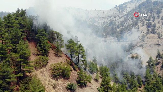 Orman yangınından yükselen dumanlar tüm tepeleri yuttu!