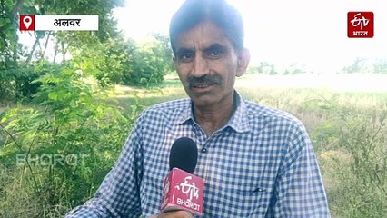 पिता से मिली प्रेरणा, पेड़ बने यादों के प्रतीक, फल बेचने की बजाय मरीजों को मुफ्त में बांटते हैं दिनेश