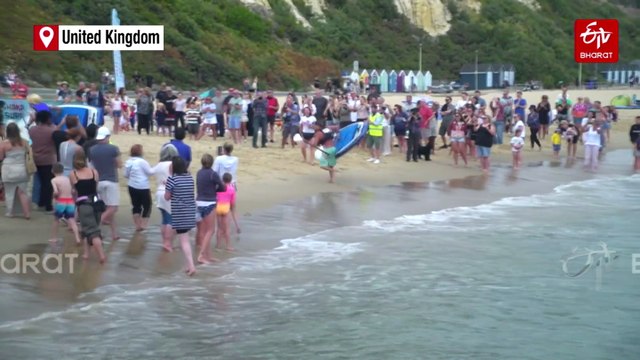 'Absolutely Bonkers': Canines Race At UK Dog Surfing Championships