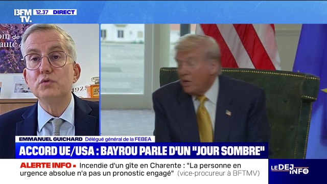 Droits de douane: L'accord n'est pas bon pour les industries cosmétiques françaises , déplore le délégué général de la fédération des entreprises de la beauté