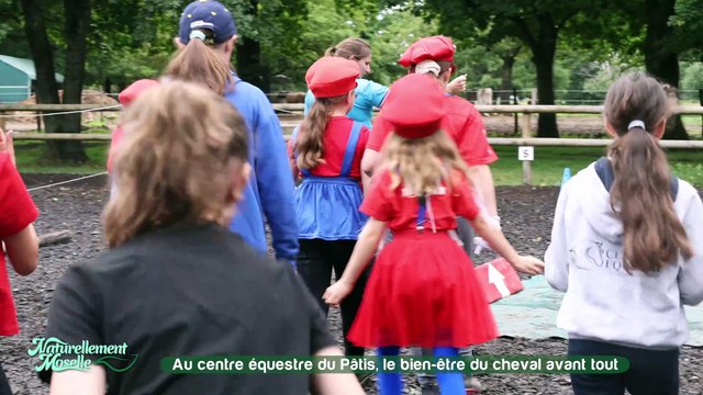 Au centre équestre du Pâtis, à Woippy, le bien-être du cheval avant tout