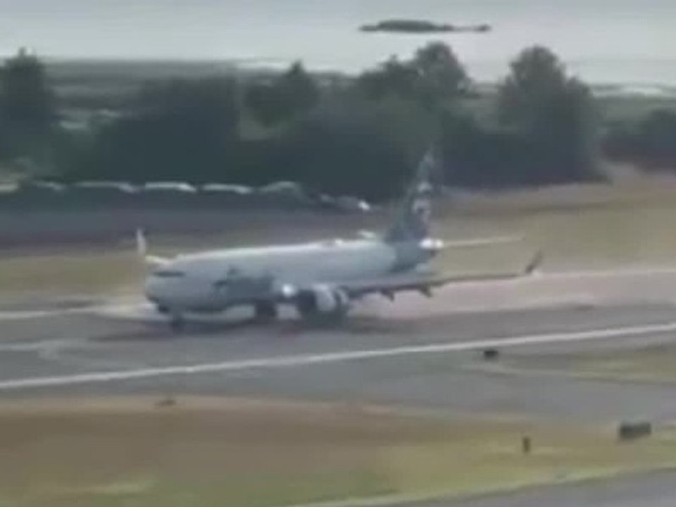 Bei Landung: Flugzeug überfährt Tiere auf dem Rollfeld