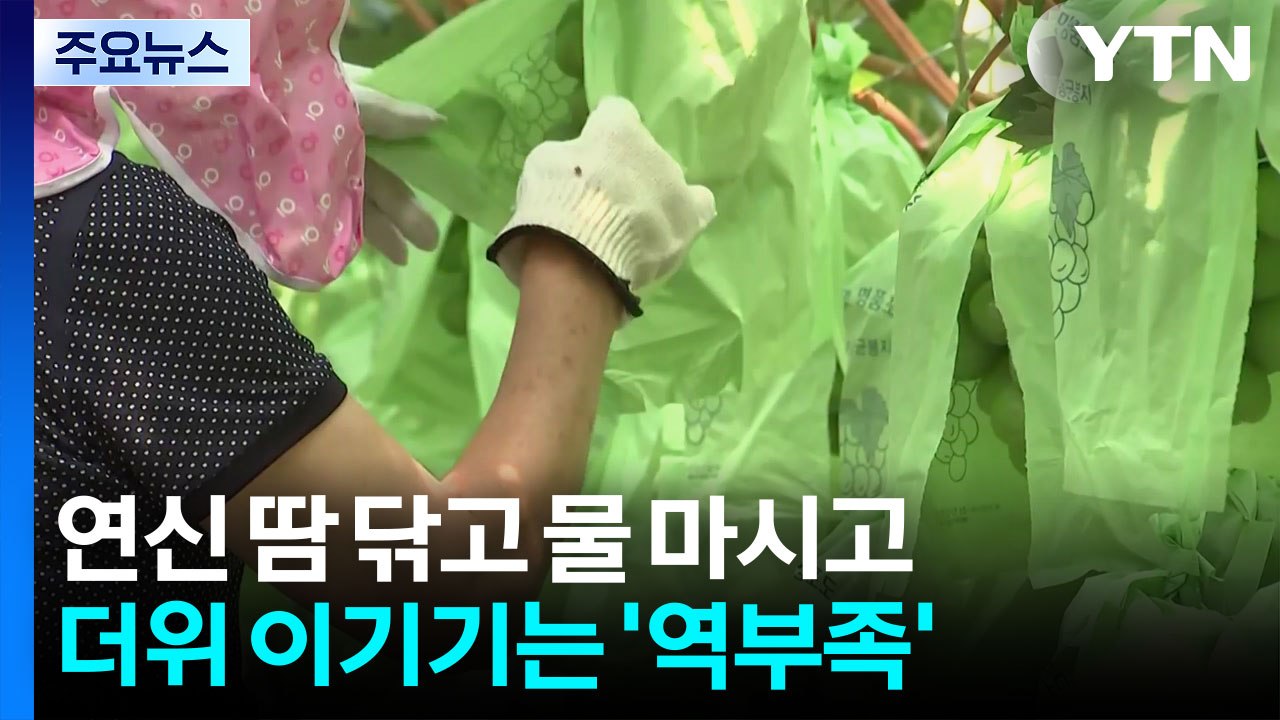40도 폭염에 새벽 농사...동굴로 몰리는 피서객 / YTN